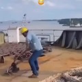 Releasing a ships anchor