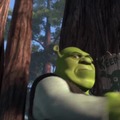 Shrek parte 8