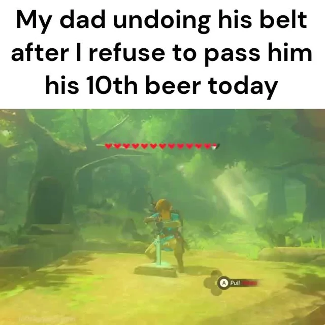 The best Link Zelda memes :) Memedroid