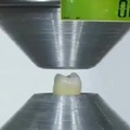 Hydraulic press on a wisdom tooth