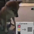 Dog crafting his food on Minecraft