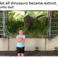 Dinosaurios: El resurgir