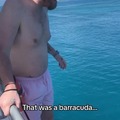 Barracuda salto