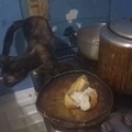 commented item thumbnail