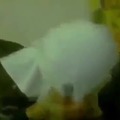 commented item thumbnail