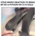 I wanna bite Steve’s neck too