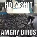 Amgry Birds