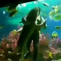 I wanna dance with the fishes