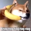 Banana phone :D