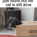 Schrödinger's Cat funniest meme