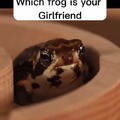Which frog is your girlfriend