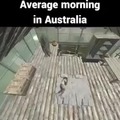 Mañana promedio en Australia