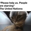 United Nations meme
