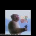 commented item thumbnail