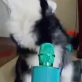 commented item thumbnail
