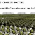 Chess videos