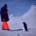 Pingüino nazi