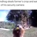 Eating in front the security camera